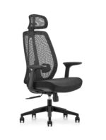 Professional Ergonomic Task Chair with Auto‑Weight Sensing Technology and 3D Armrests