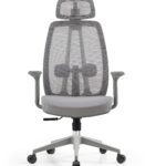 Professional Ergonomic Task Chair with 3D Armrests and Adjustable Lumbar Support