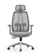 Professional Ergonomic Task Chair with 3D Armrests and Adjustable Lumbar Support