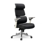 Premium Ergonomic Executive Office Chair with Dynamic Lumbar Support and 7D Armrests